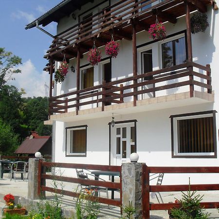 Vila Doina Branului Bran  Ngoại thất bức ảnh
