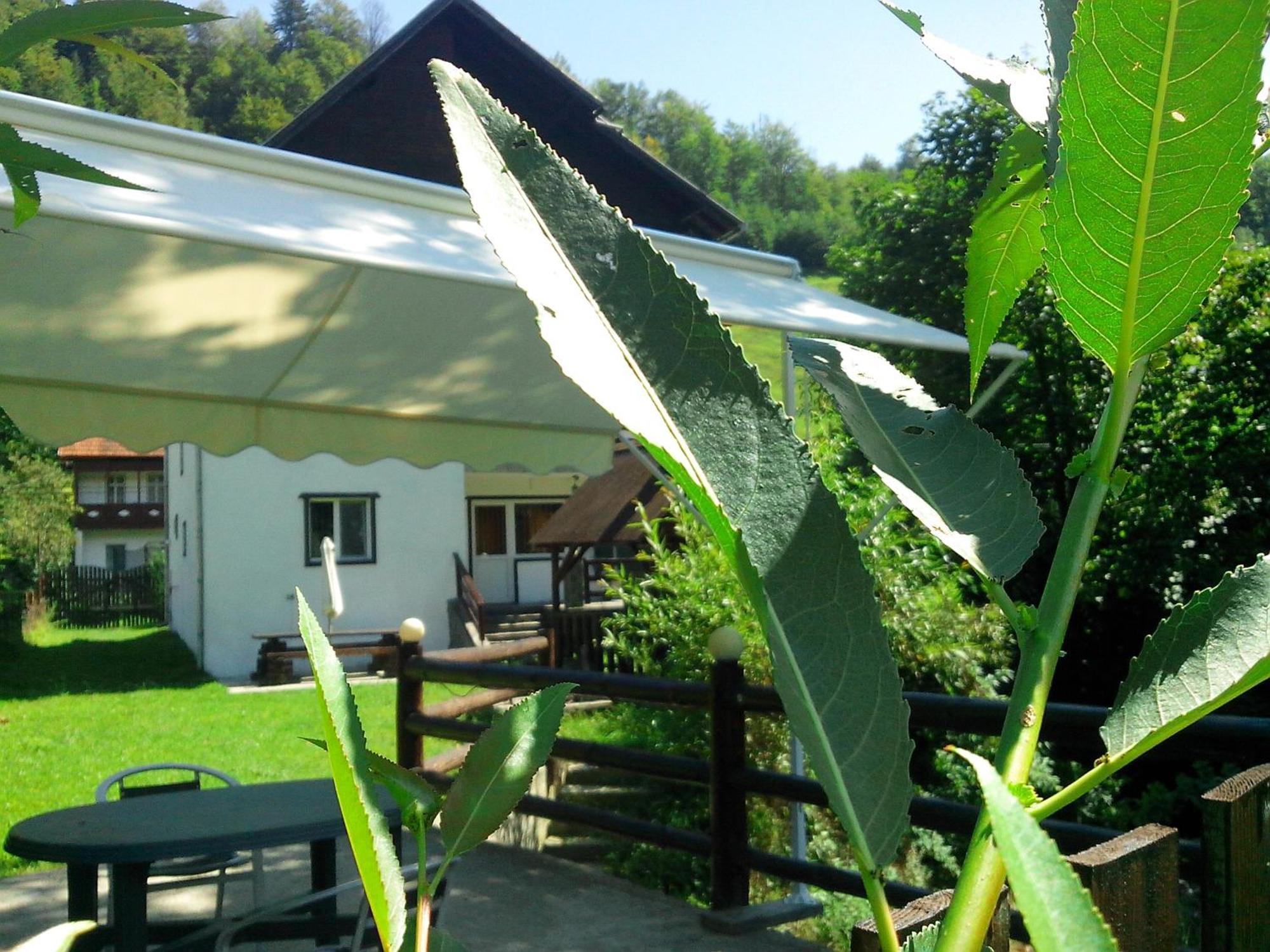 Vila Doina Branului Bran  Ngoại thất bức ảnh